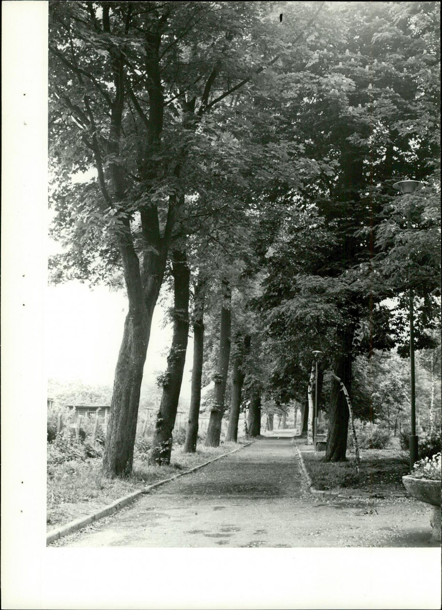Ewidencja parkowa, skan nr 24