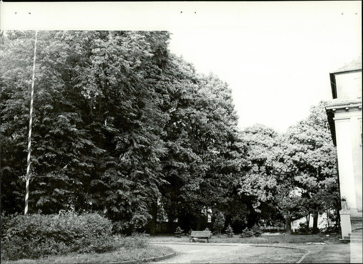 Ewidencja parkowa, skan nr 18