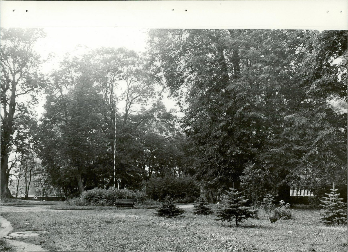 Ewidencja parkowa, skan nr 20