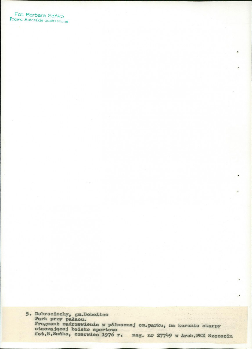 Ewidencja parkowa, skan nr 27