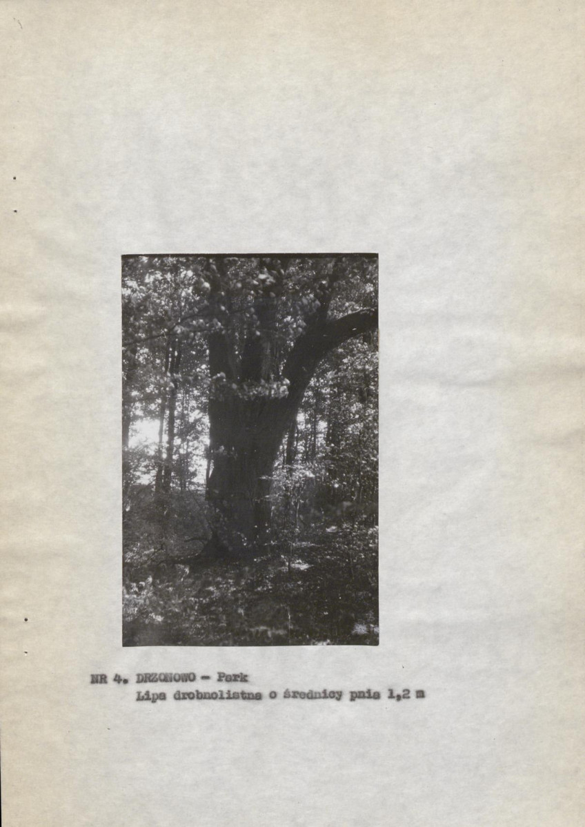 Ewidencja parkowa, skan nr 15