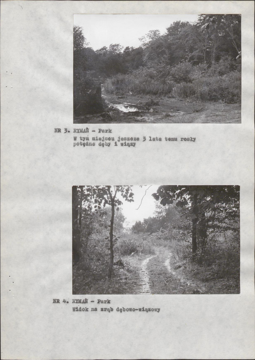 Ewidencja parkowa, skan nr 13