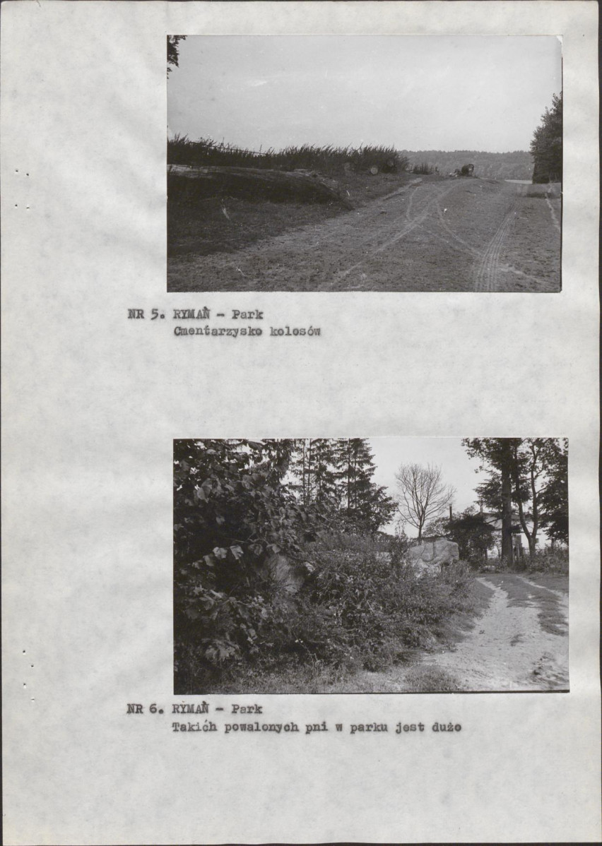 Ewidencja parkowa, skan nr 14