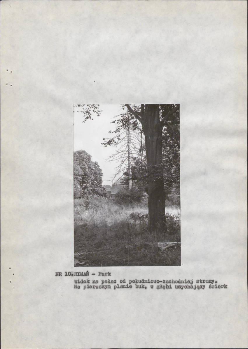 Ewidencja parkowa, skan nr 17