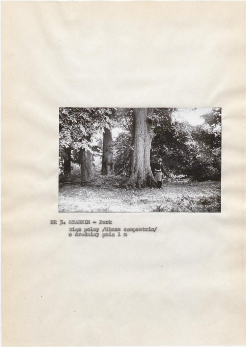 EP - Ewidencja parkowa, skan nr 12