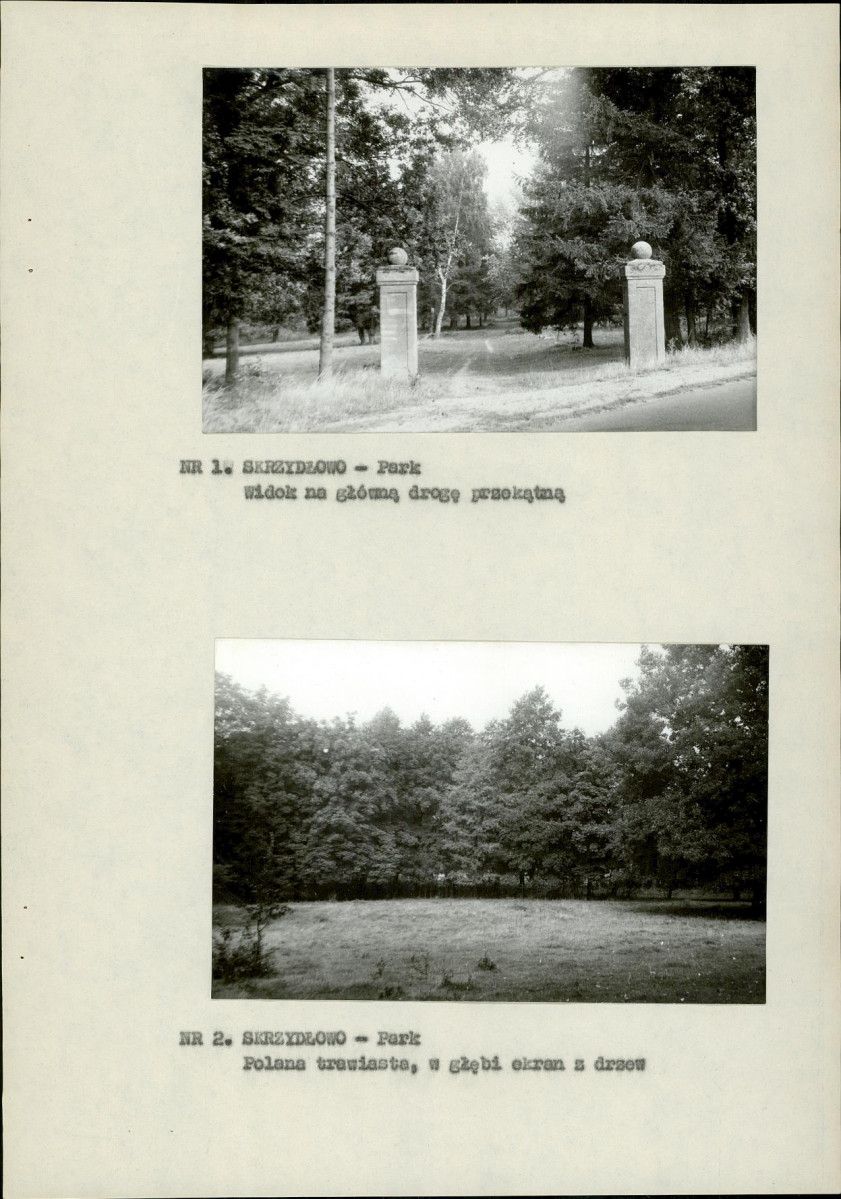 EP - Ewidencja parkowa, skan nr 11