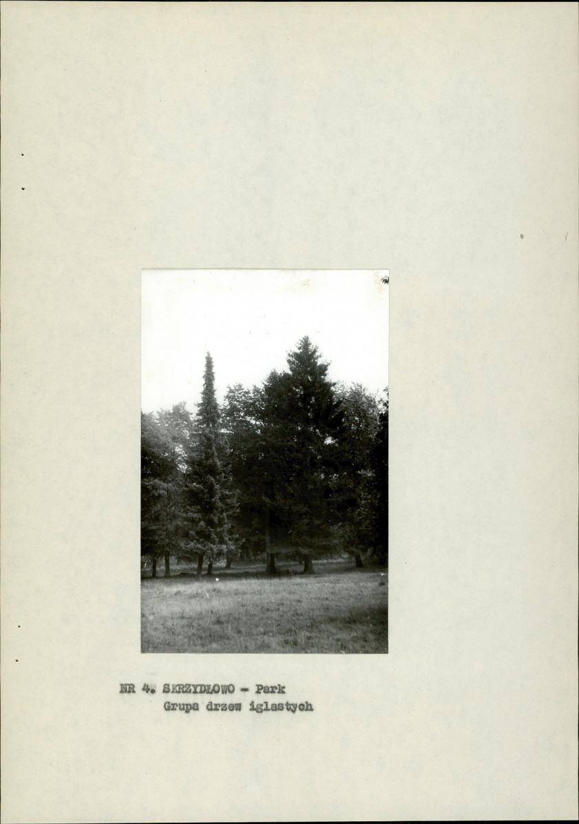 EP - Ewidencja parkowa, skan nr 13