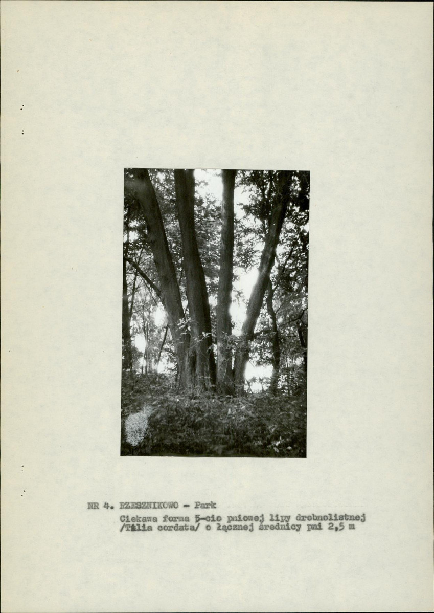 Ewidencja parkowa, skan nr 15