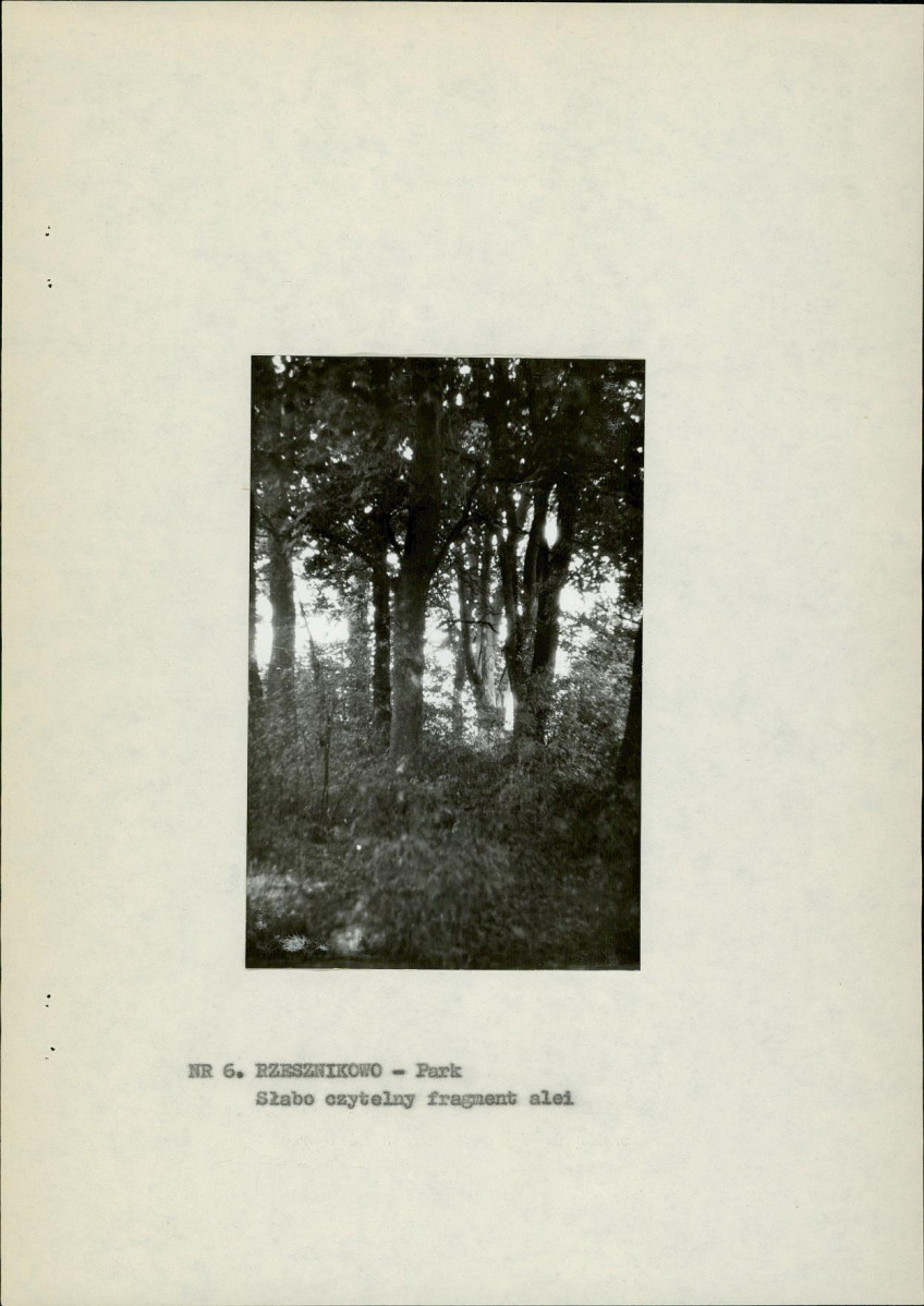 Ewidencja parkowa, skan nr 17