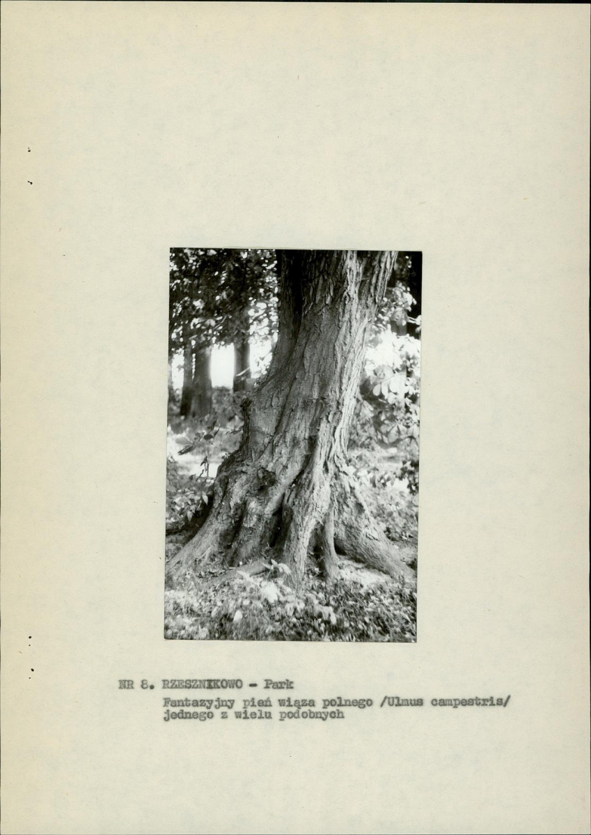 Ewidencja parkowa, skan nr 19