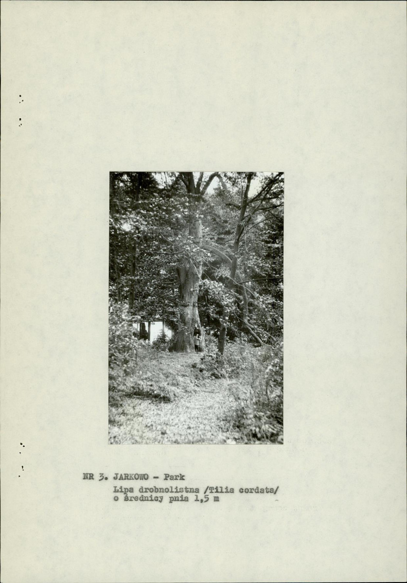 Ewidencja parkowa, skan nr 14