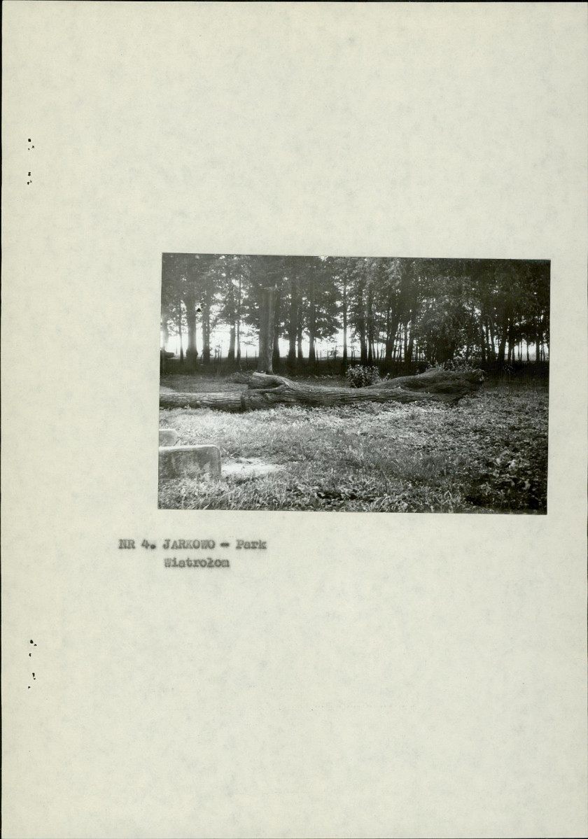 Ewidencja parkowa, skan nr 15