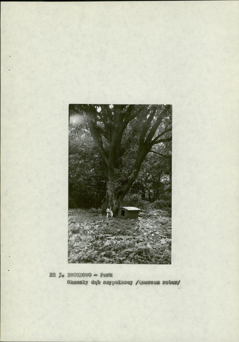 Ewidencja parkowa, skan nr 13