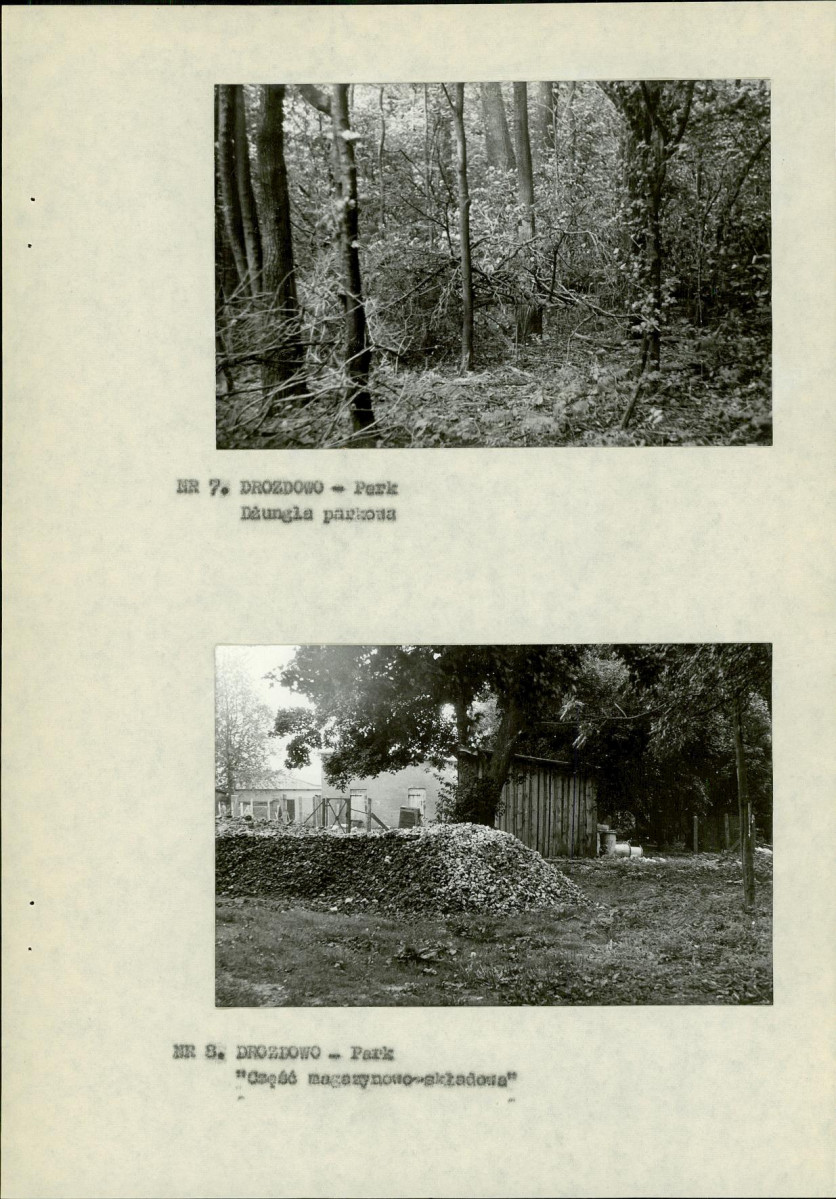 Ewidencja parkowa, skan nr 17