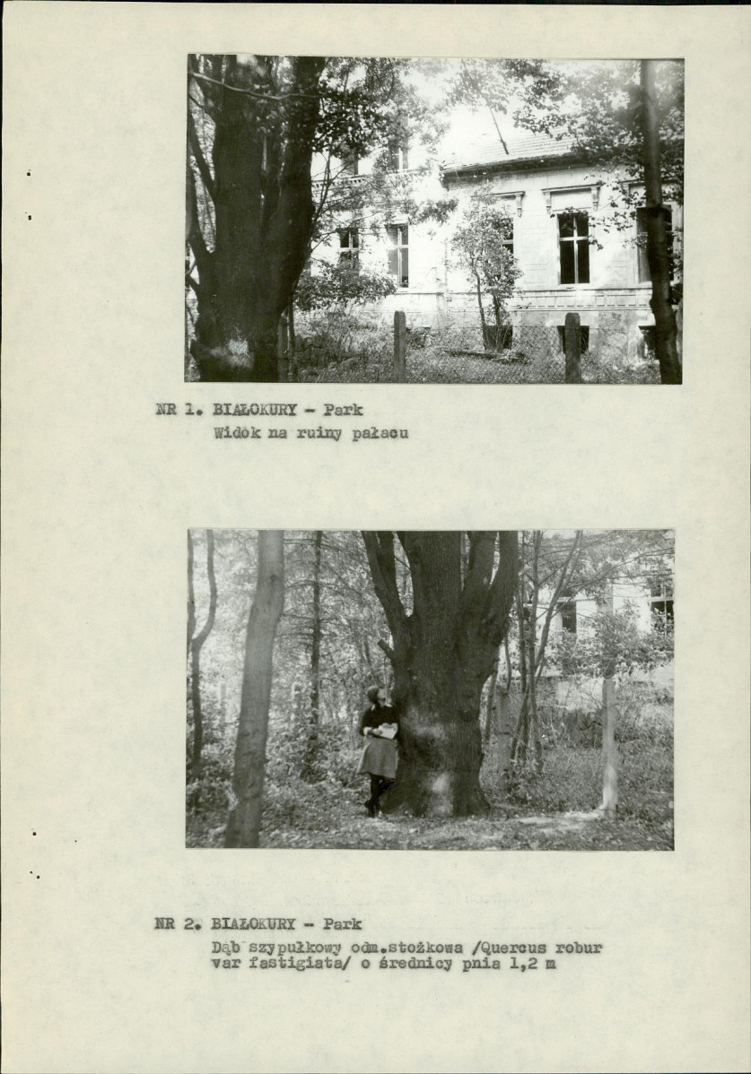 Ewidencja parkowa, skan nr 11