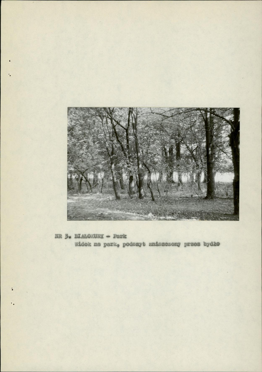 Ewidencja parkowa, skan nr 12