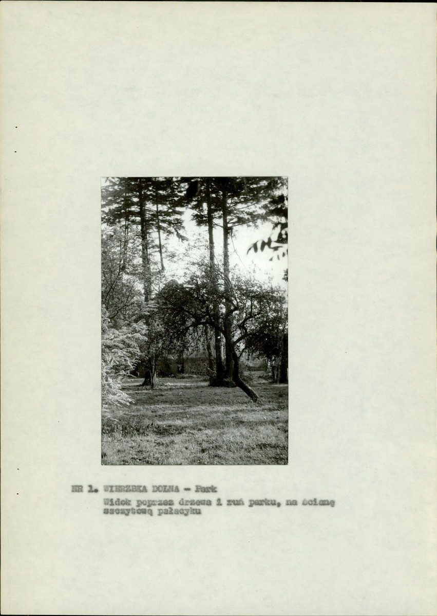 EP - Ewidencja parkowa, skan nr 9