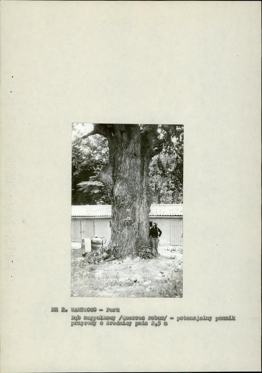 Ewidencja parkowa, skan nr 14