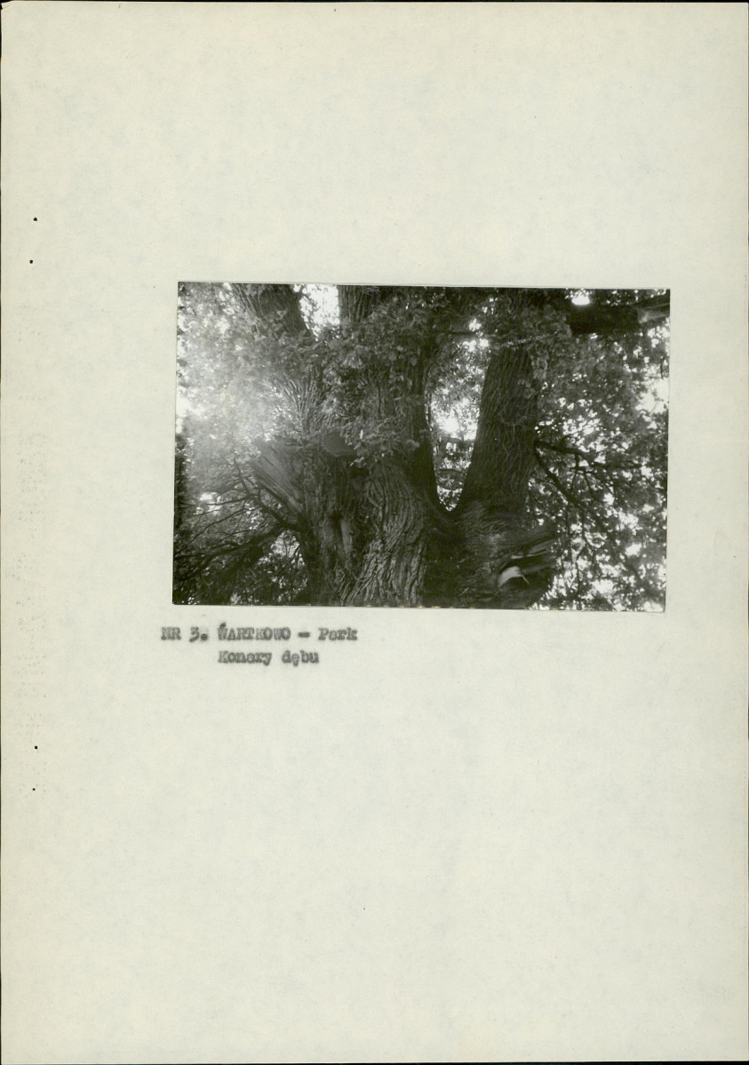Ewidencja parkowa, skan nr 15