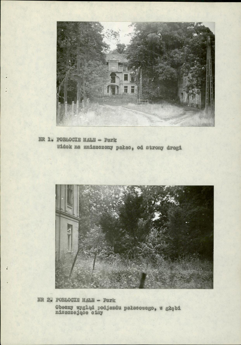 Ewidencja parkowa, skan nr 13