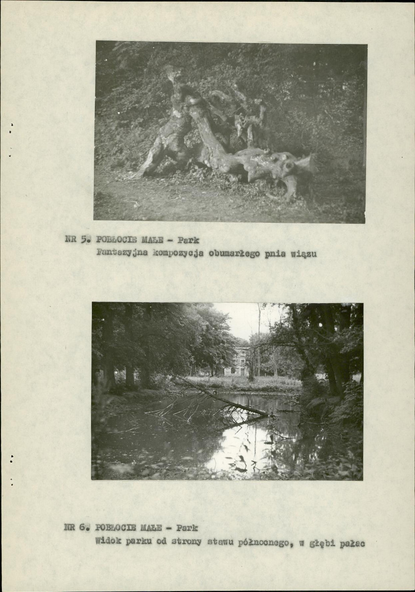 Ewidencja parkowa, skan nr 16