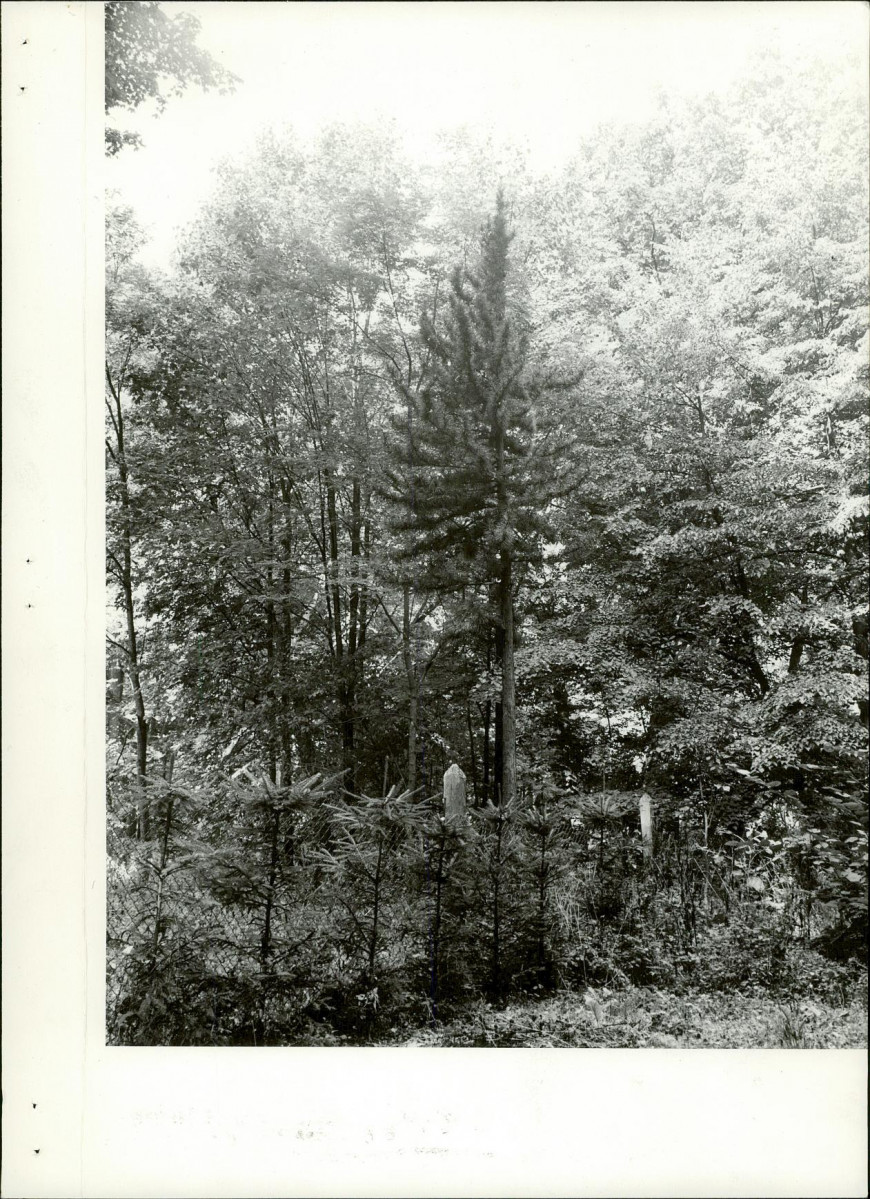 Ewidencja parkowa, skan nr 16