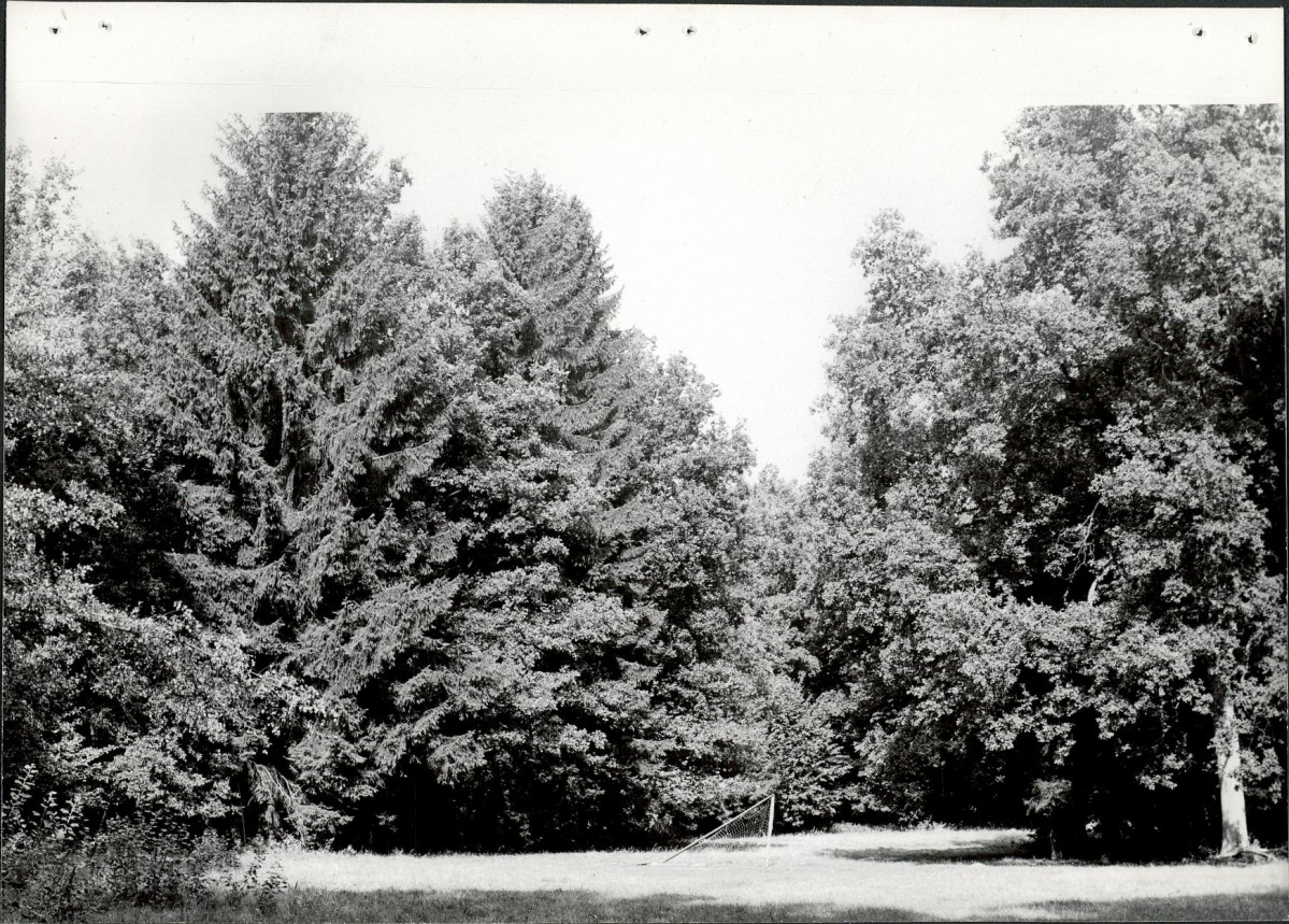 Ewidencja parkowa, skan nr 32