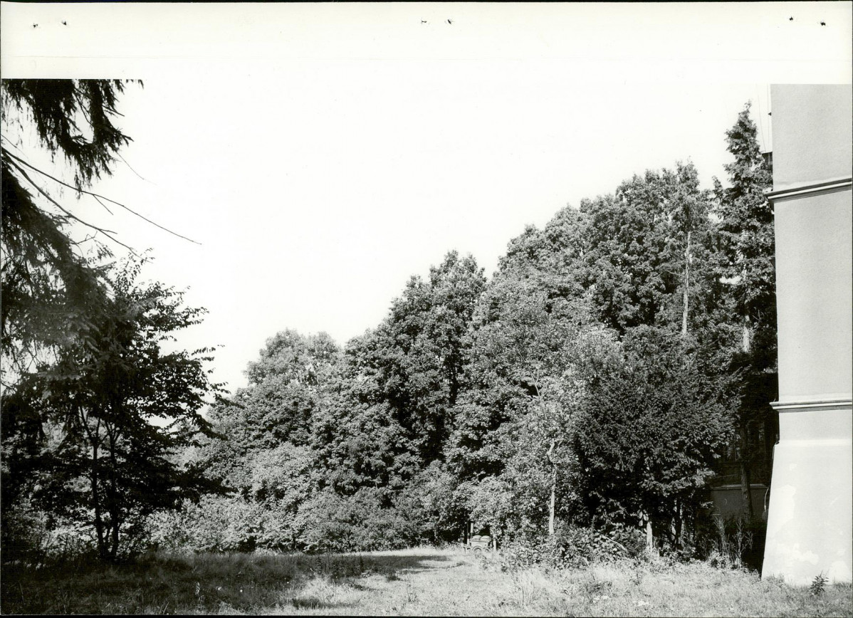 Ewidencja parkowa, skan nr 46