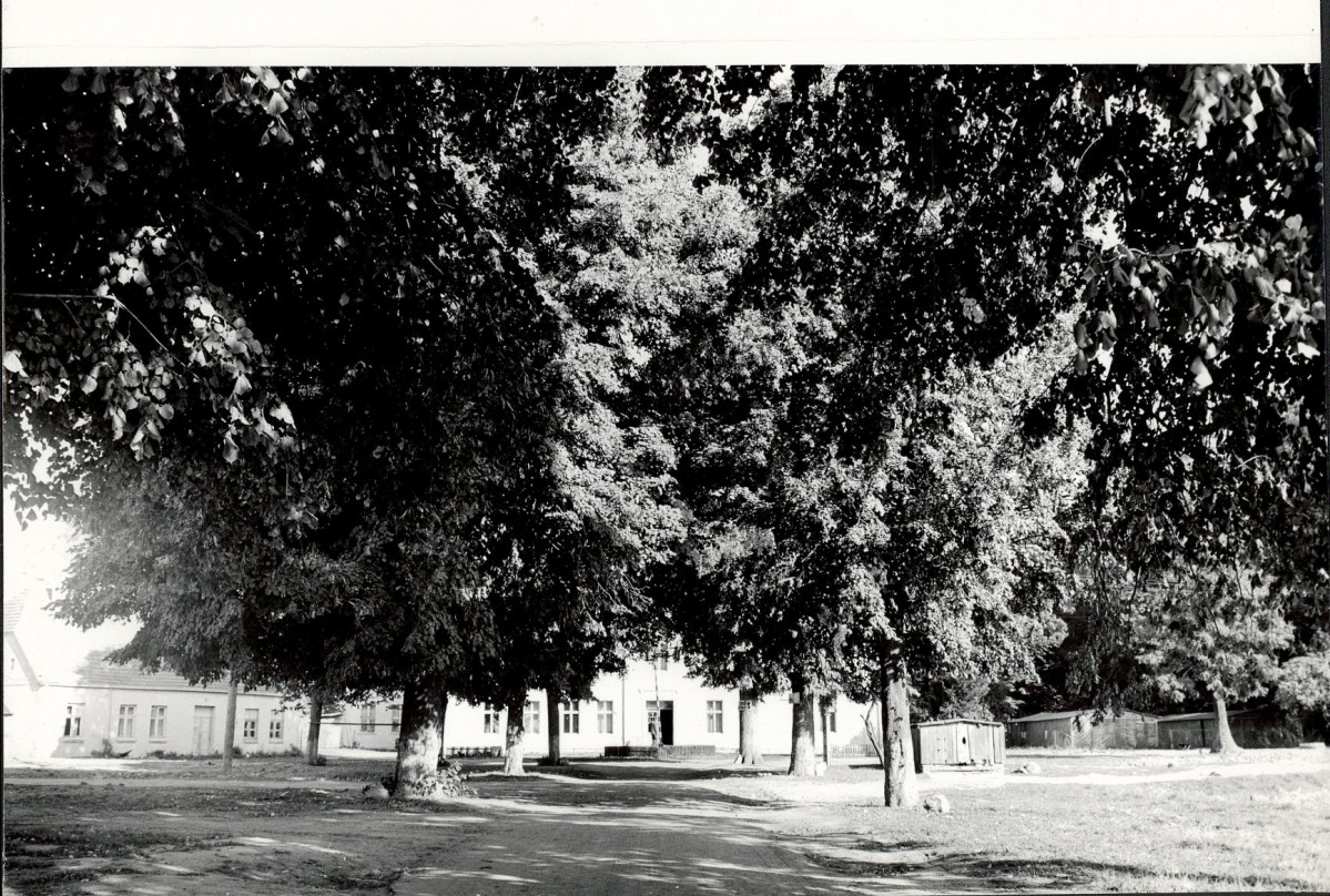 Ewidencja parkowa, skan nr 14
