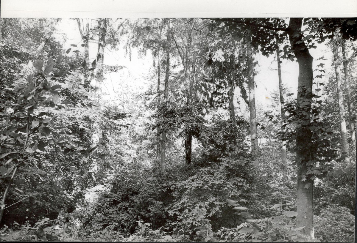 Ewidencja parkowa, skan nr 20
