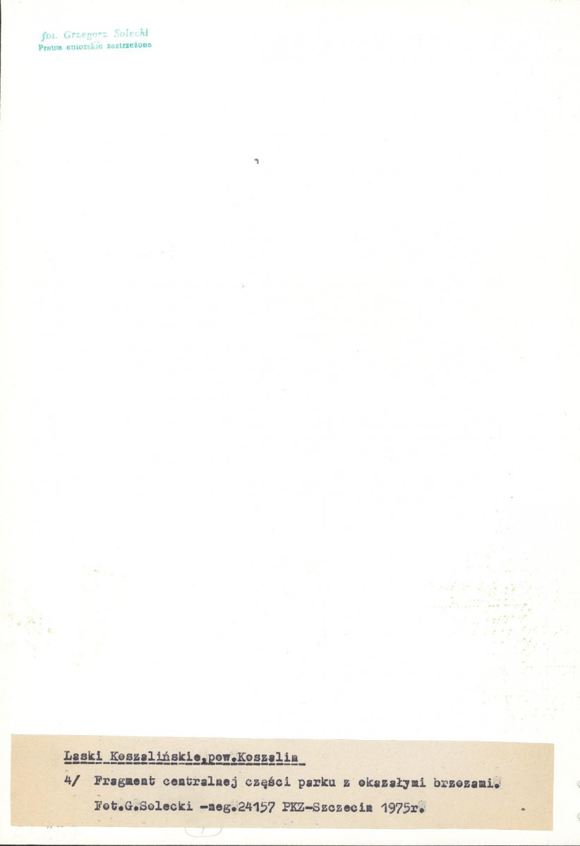 Ewidencja parkowa, skan nr 21