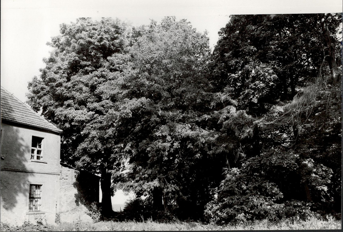 Ewidencja parkowa, skan nr 24
