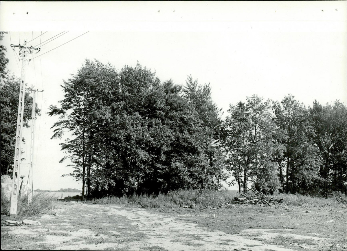Ewidencja parkowa, skan nr 15