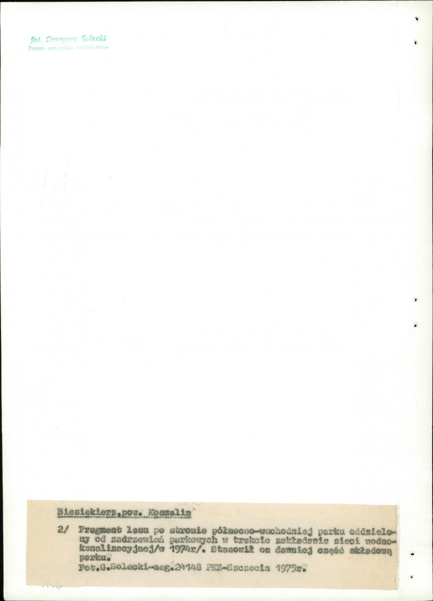 Ewidencja parkowa, skan nr 16