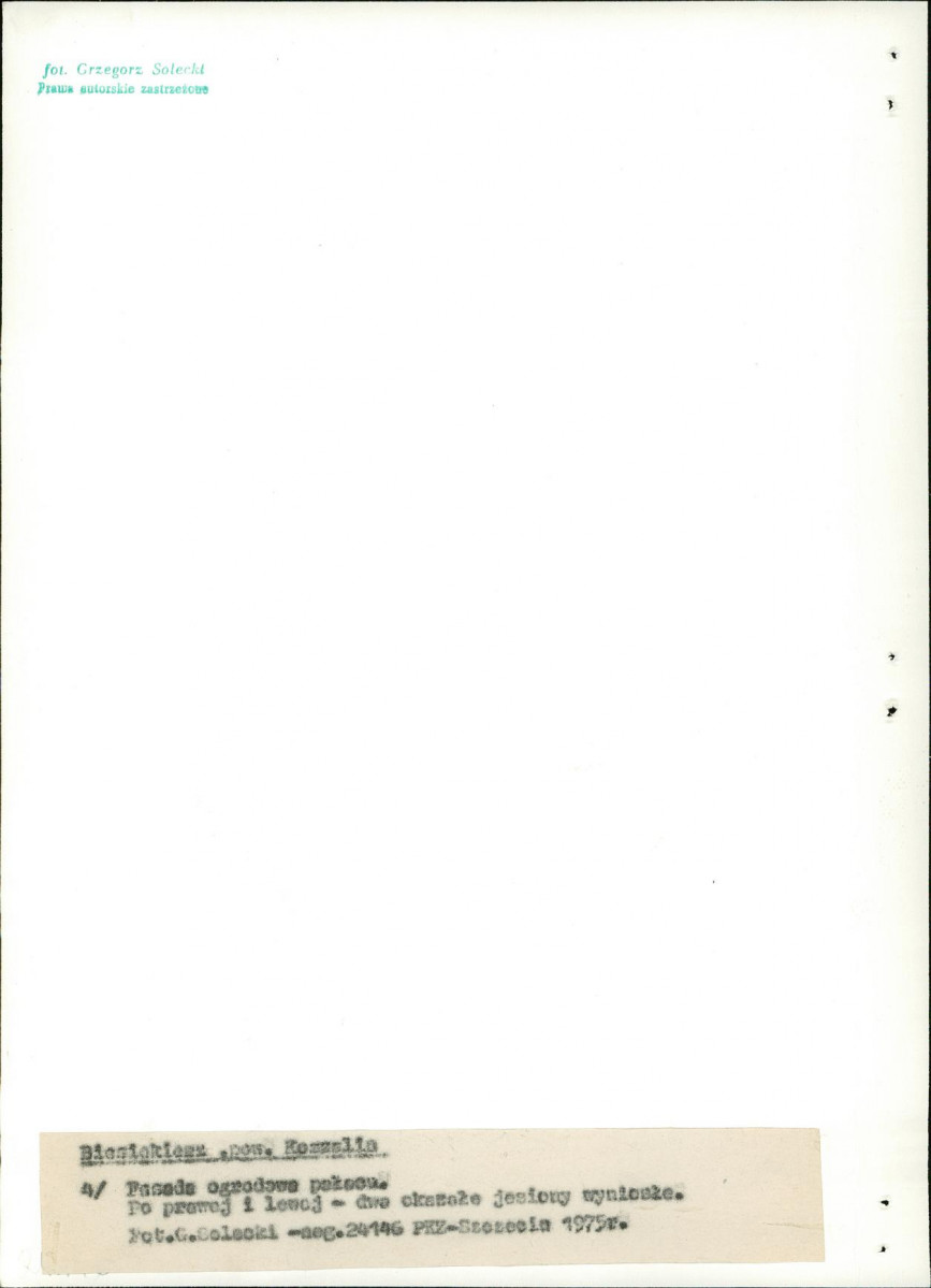 Ewidencja parkowa, skan nr 20