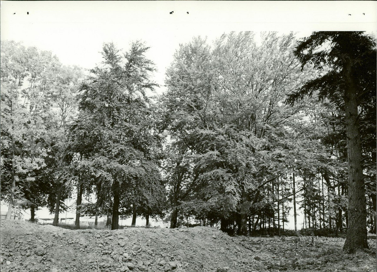 Ewidencja parkowa, skan nr 21