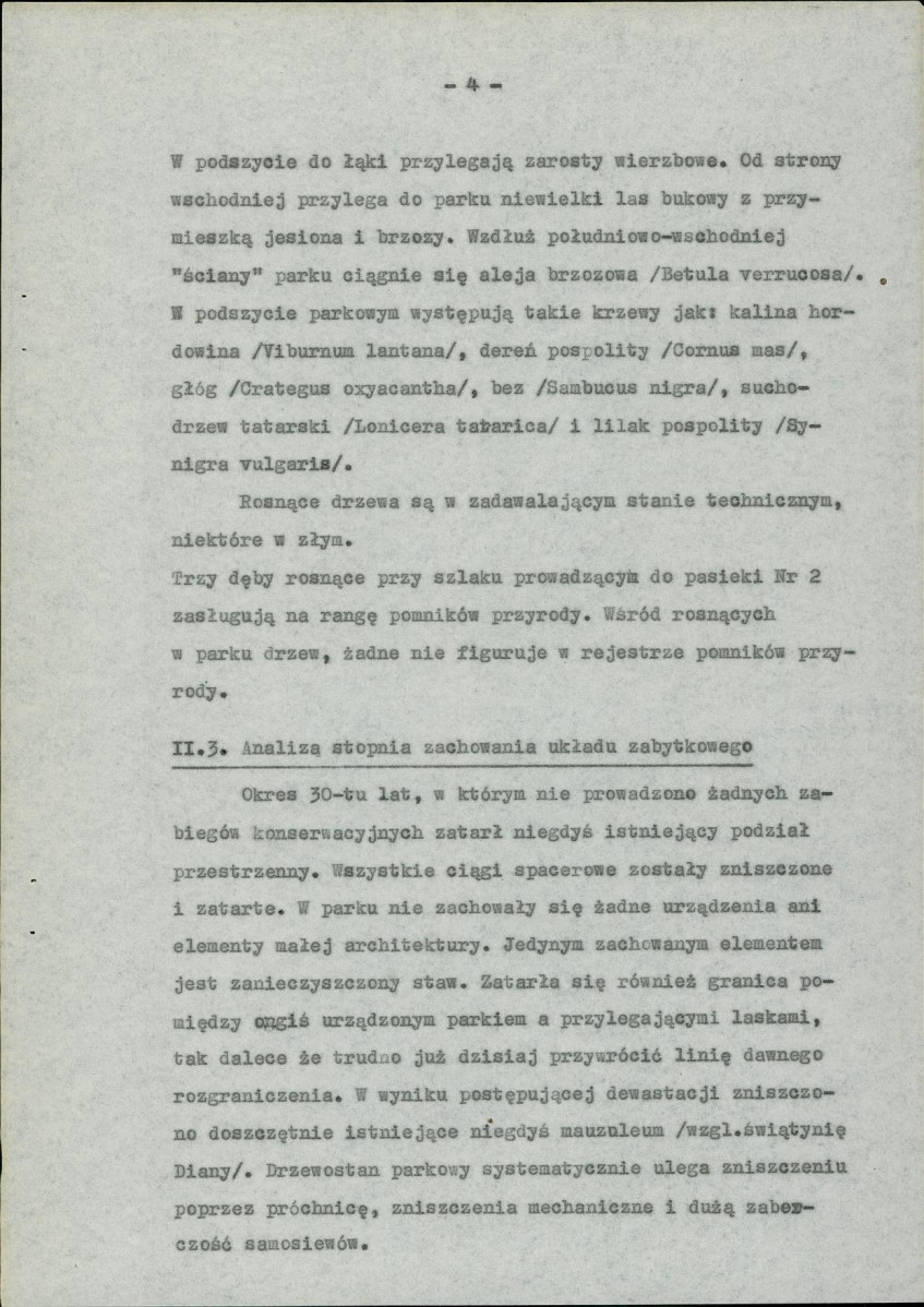 Ewidencja parkowa, skan nr 11