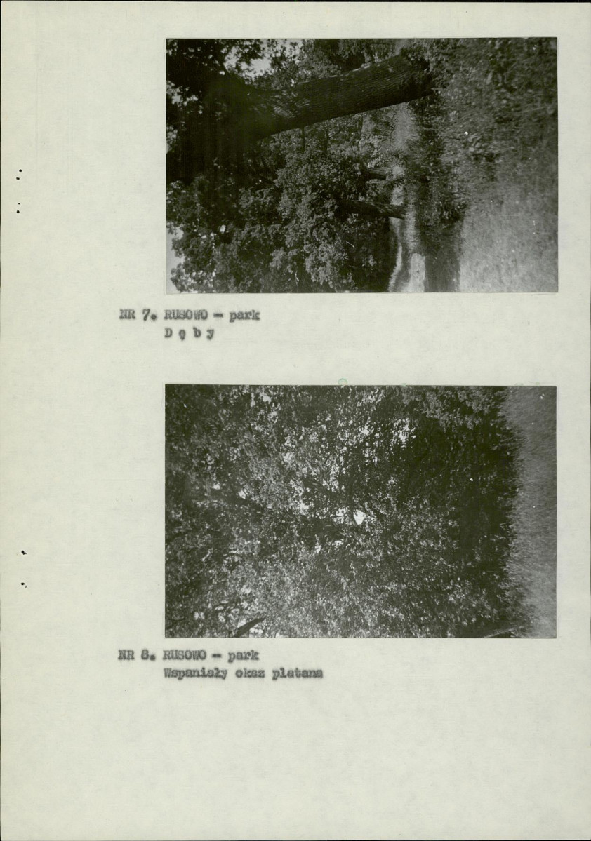 Ewidencja parkowa, skan nr 17