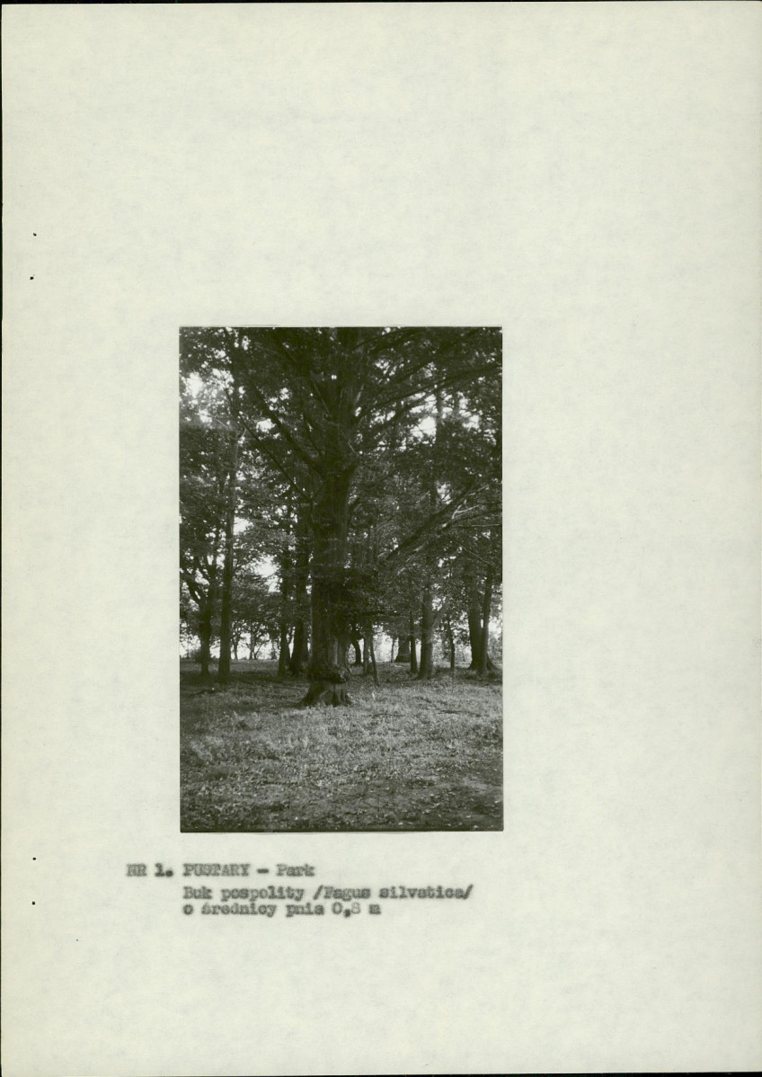 Ewidencja parkowa, skan nr 11