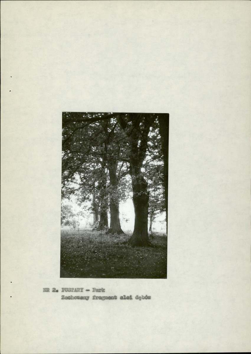 Ewidencja parkowa, skan nr 12