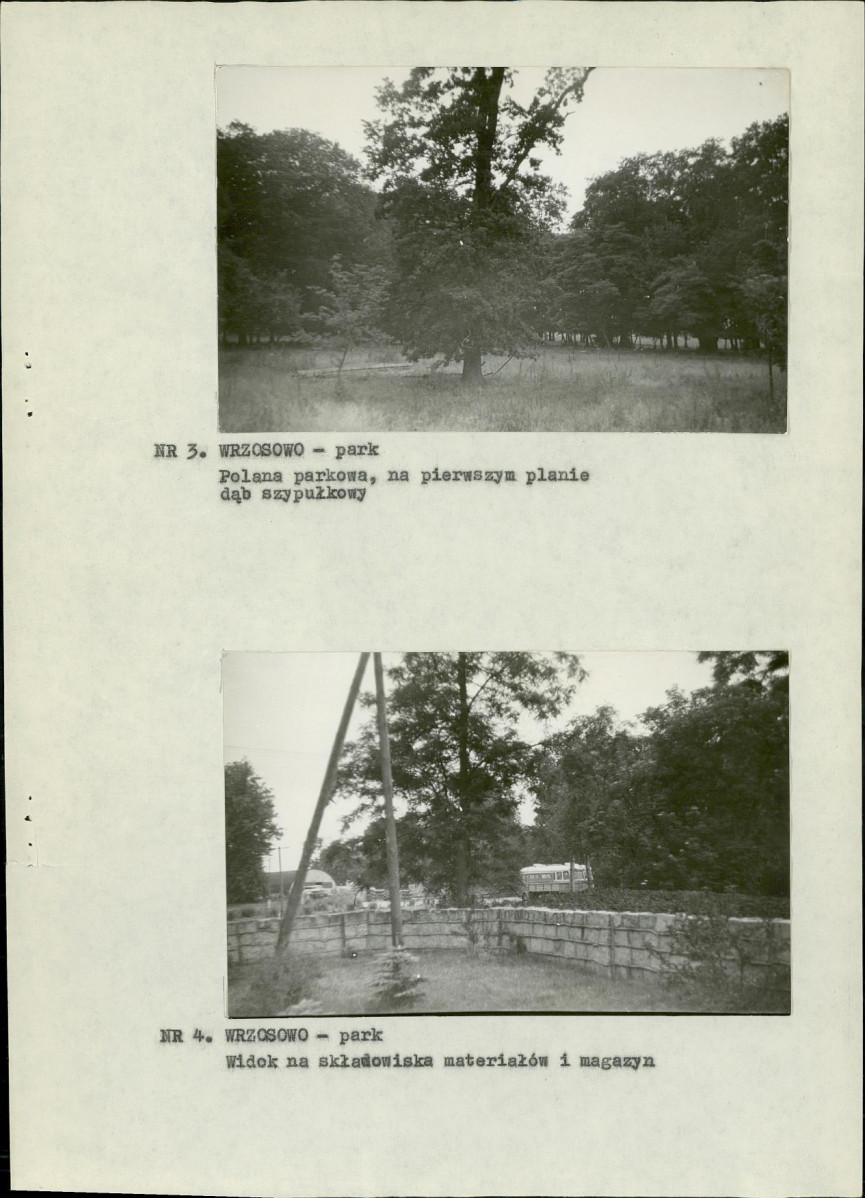 Ewidencja parkowa, skan nr 14