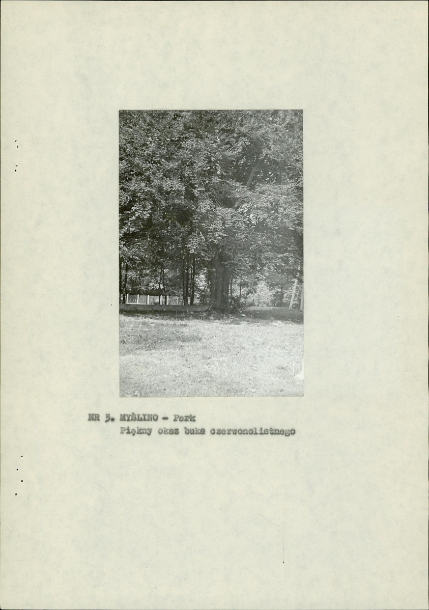 Ewidencja parkowa, skan nr 11