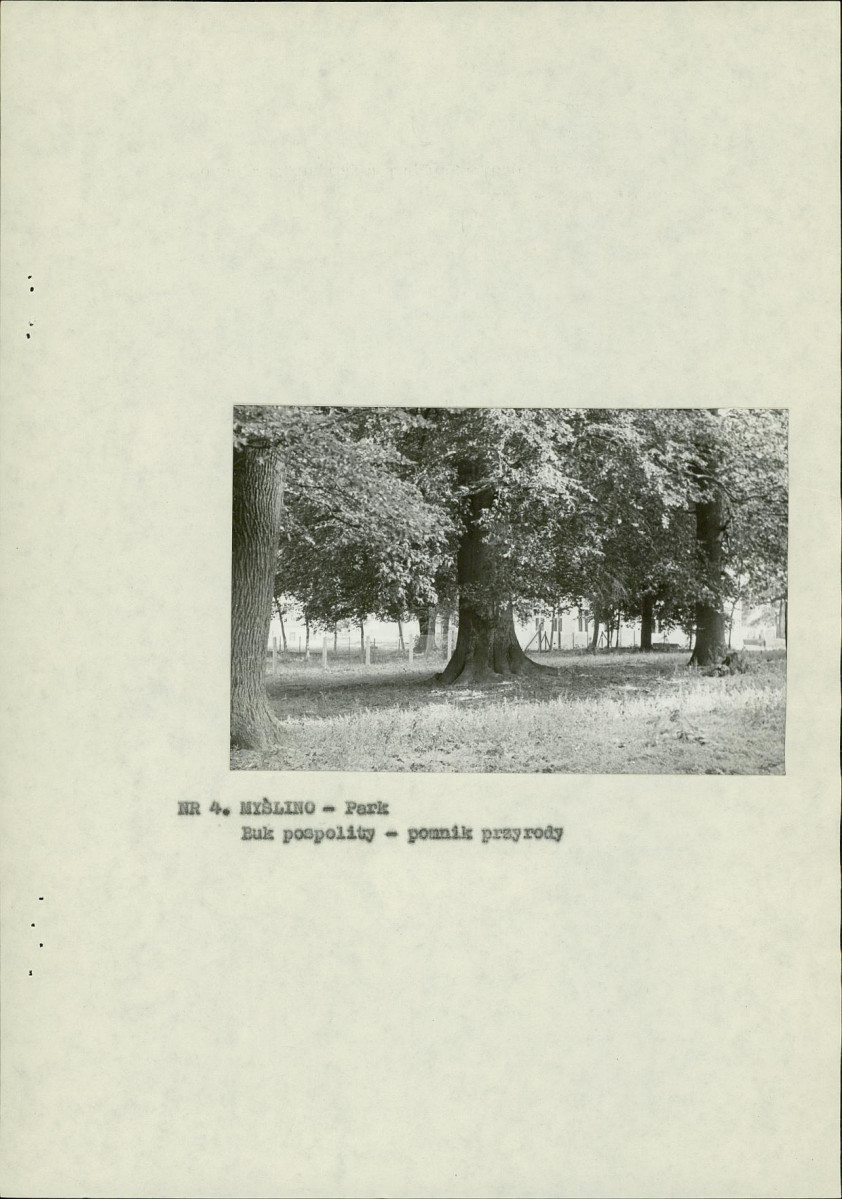 Ewidencja parkowa, skan nr 12