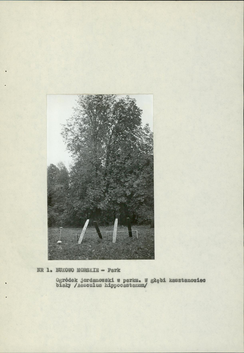 Ewidencja parkowa, skan nr 12