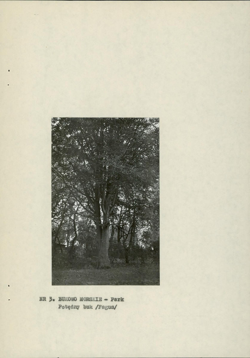 Ewidencja parkowa, skan nr 14