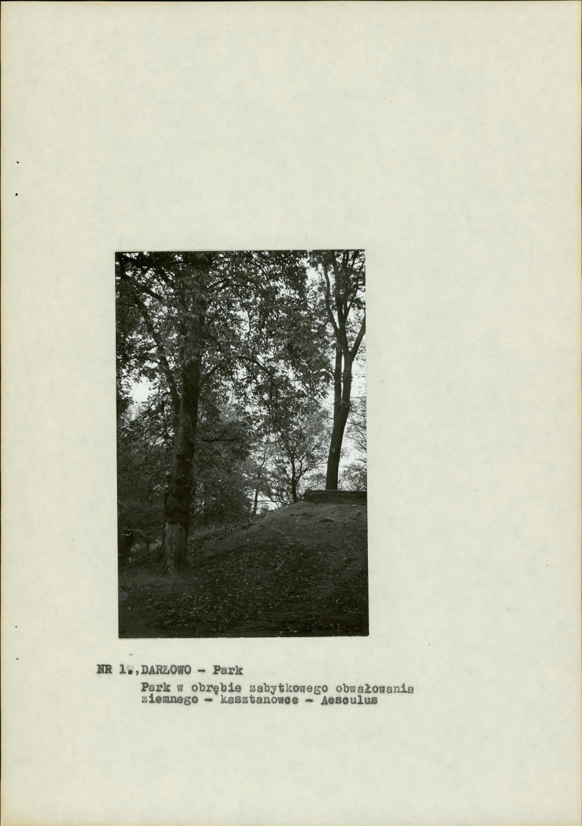 Ewidencja parkowa, skan nr 10