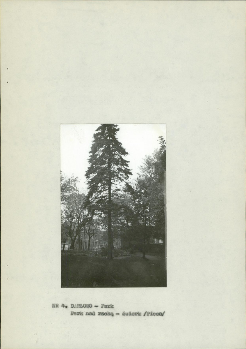 Ewidencja parkowa, skan nr 13