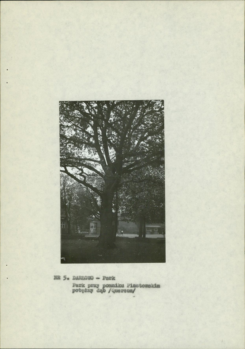 Ewidencja parkowa, skan nr 14