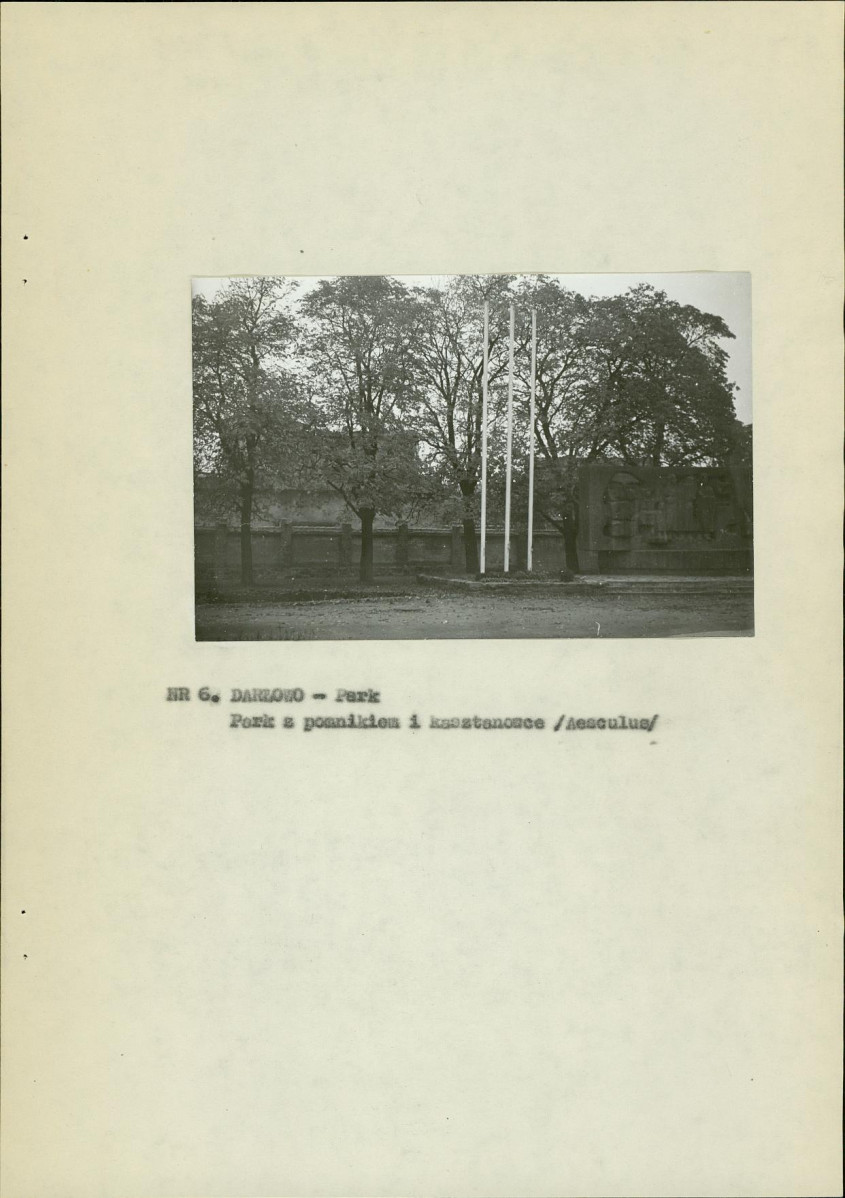 Ewidencja parkowa, skan nr 15