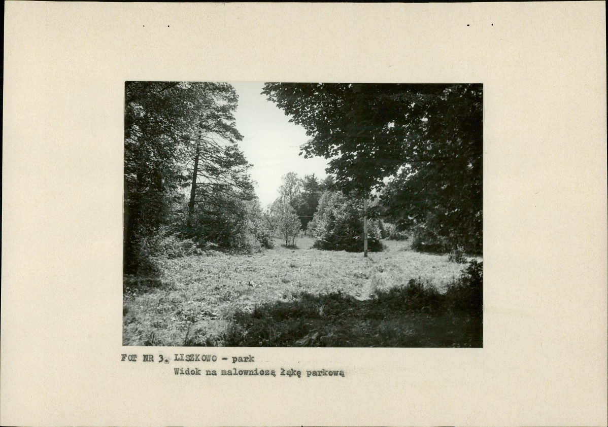 EP - Ewidencja parkowa, skan nr 16